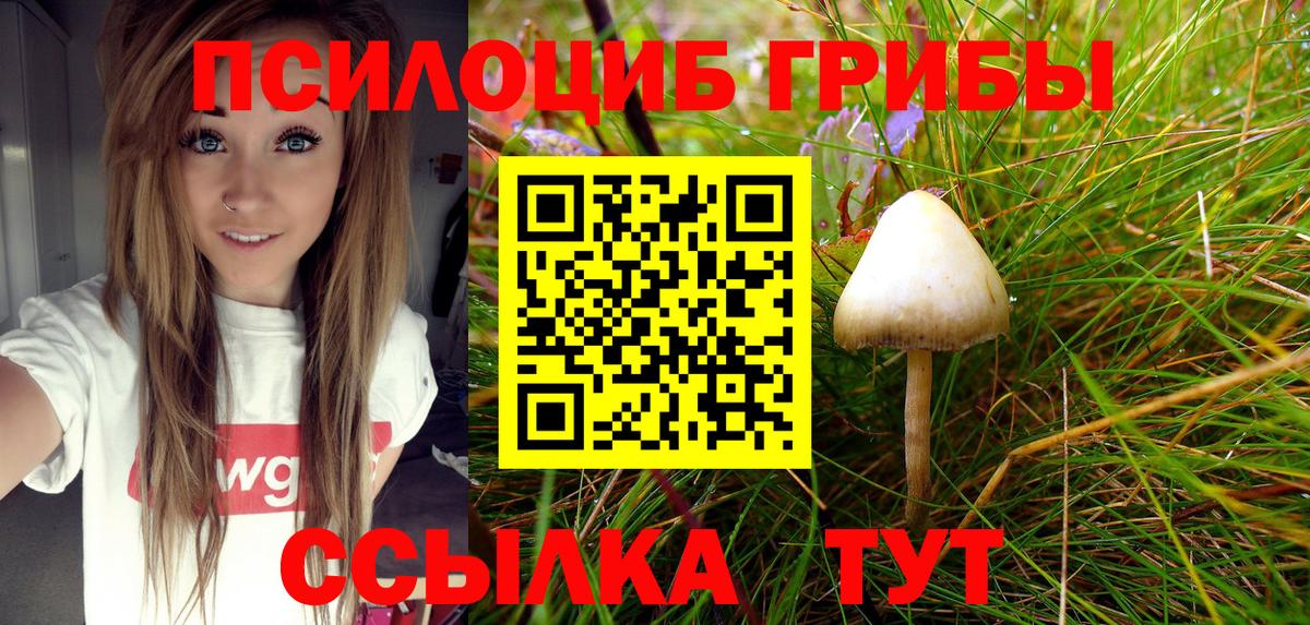 Псилоцибиновые грибы Psilocybe  Вход с VPN  Печора 