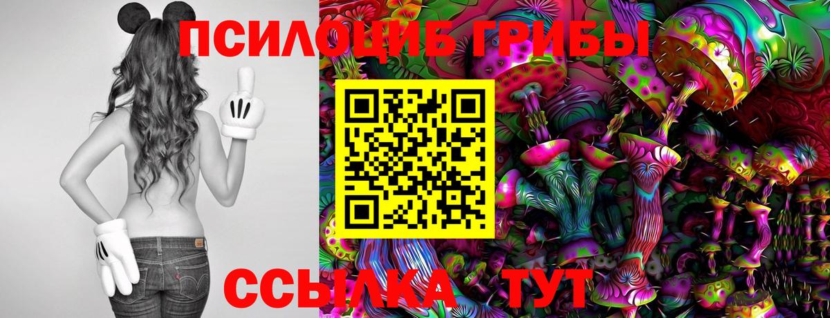 Псилоцибиновые грибы Magic Shrooms Печора